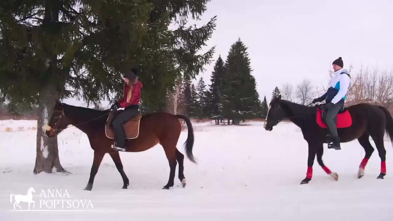 Конная прогулка на лошадях для двоих. Верховая езда в Хабаровске